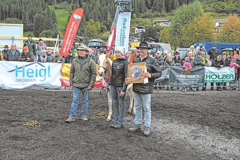 Pongauer Haflinger beeindrucken in Großarl.jpg © Privat