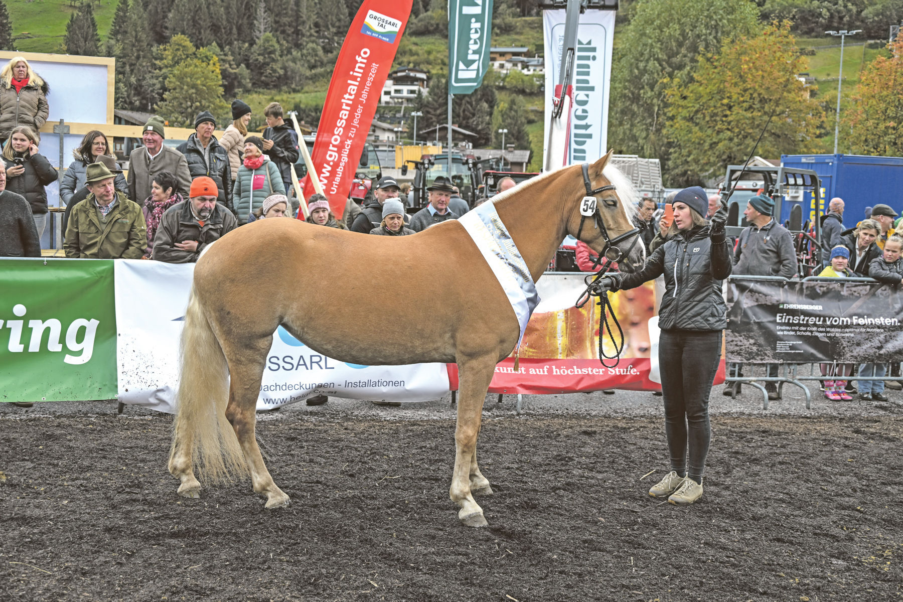 Pongauer Haflinger beeindrucken in Großarl.jpg © Privat