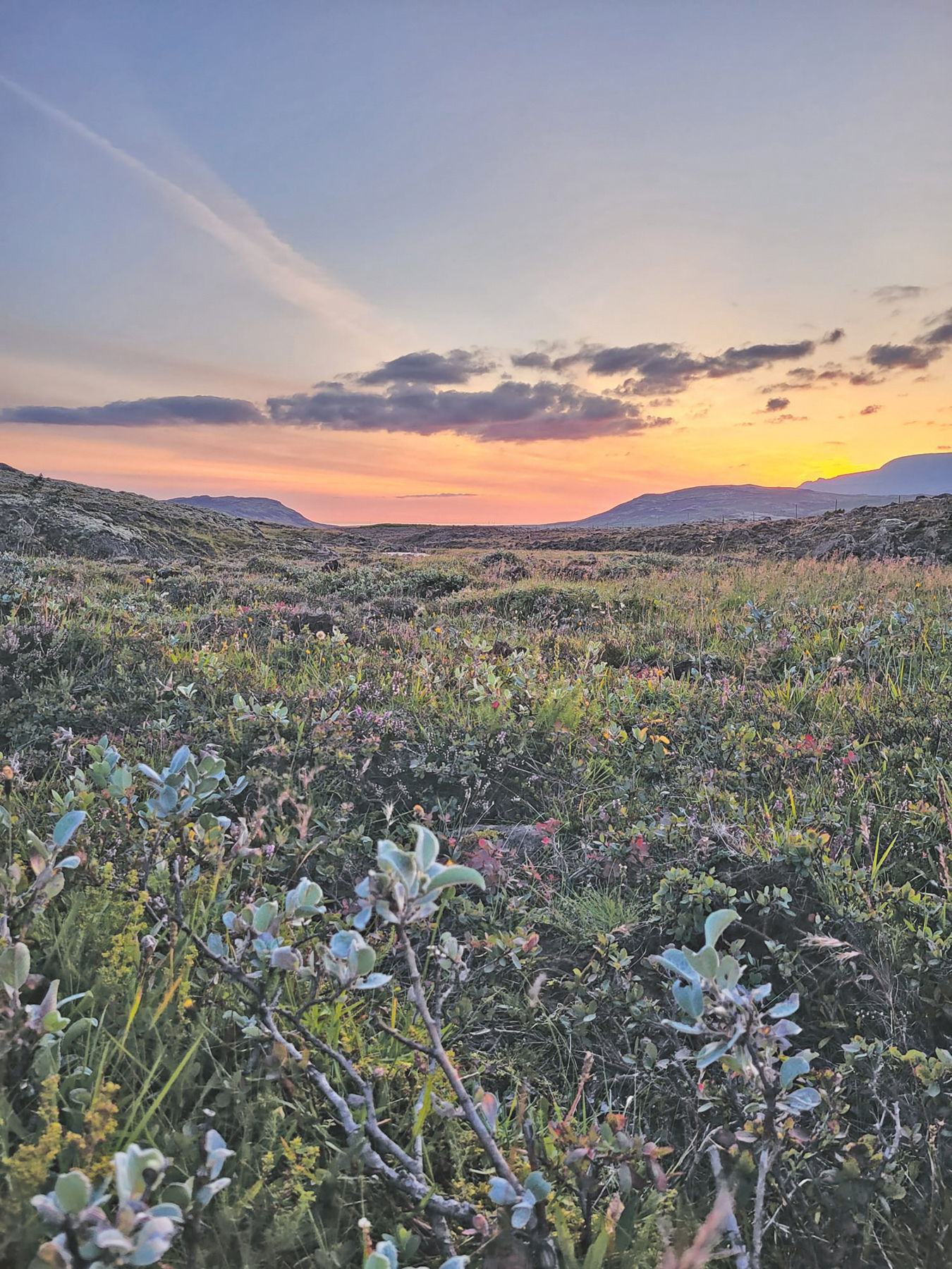 Facettenreicher Islandpferdehof gewährt Blick hinter die Kulissen.jpg © Zehentner