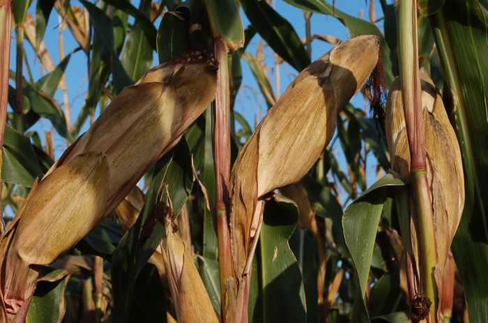 [1760689789855241_1.jpg]