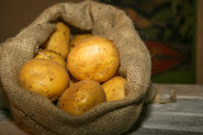 Erdäpfel oder Kartoffeln im Jutesack © LK Tirol