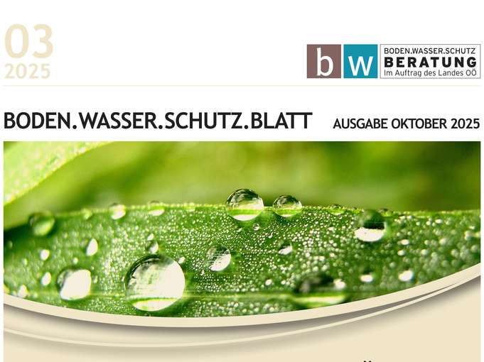 Boden.Wasser.Schutz.Blatt .jpg © BWSB