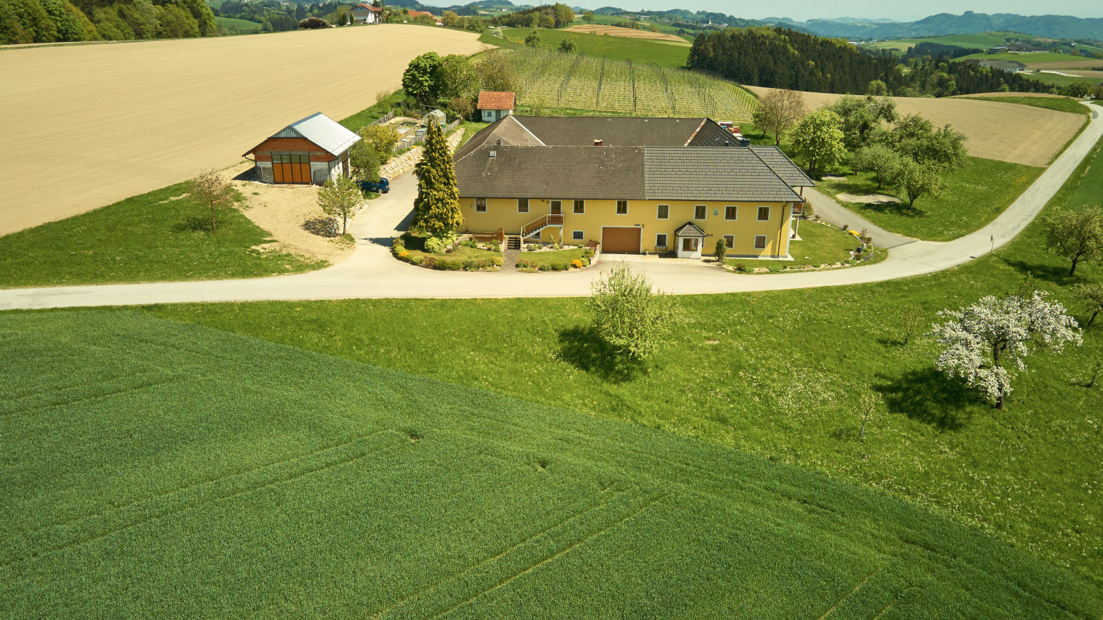 Bauernhof Fam. Fröschl_2.jpg © Fröschl