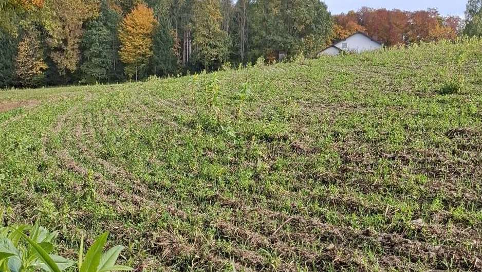 Best practice in Ohlsdorf von Familie Peiskammer, 21. Oktober 2025