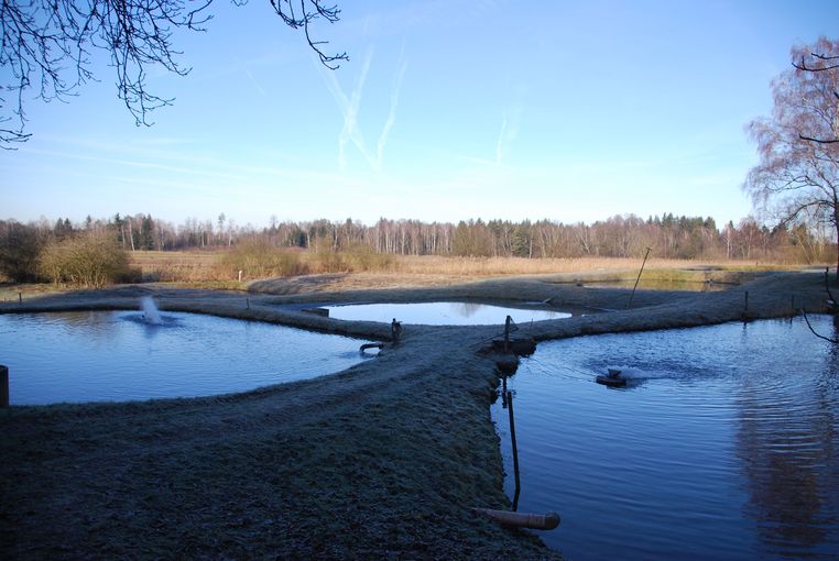 Thalhammer Mühle.jpg © LK Kärnten/Gerda Weber