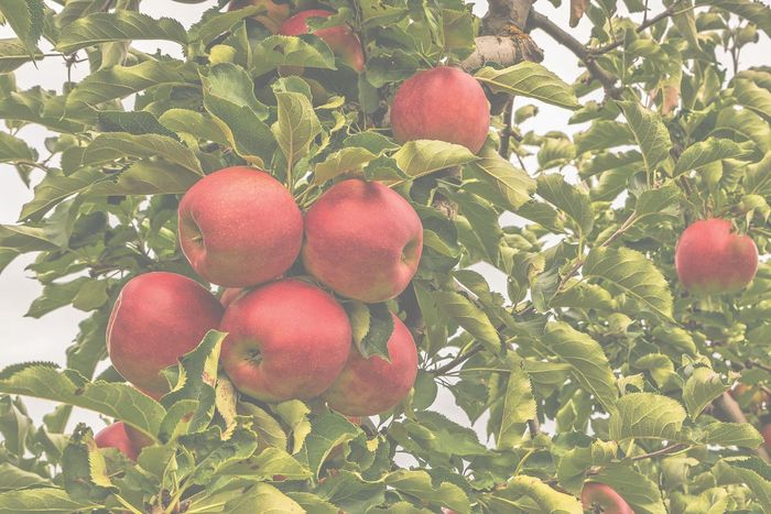 [1761199745970980_1.jpg]