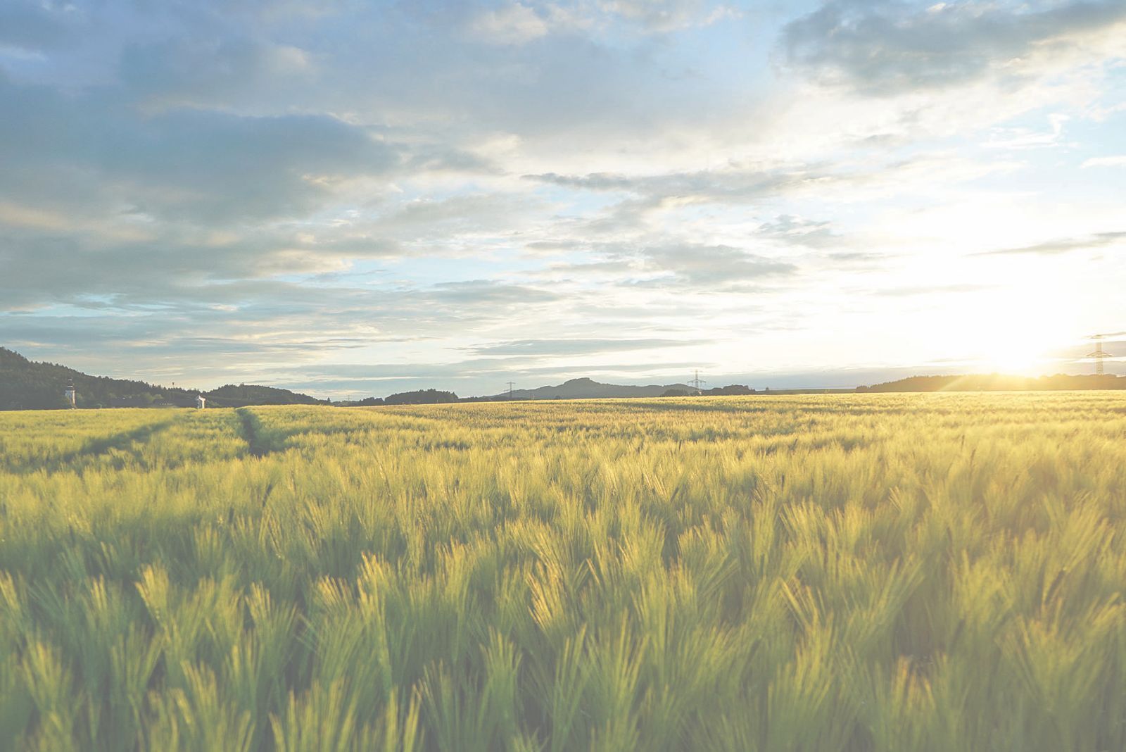 Grüner Bericht.jpg © Archiv