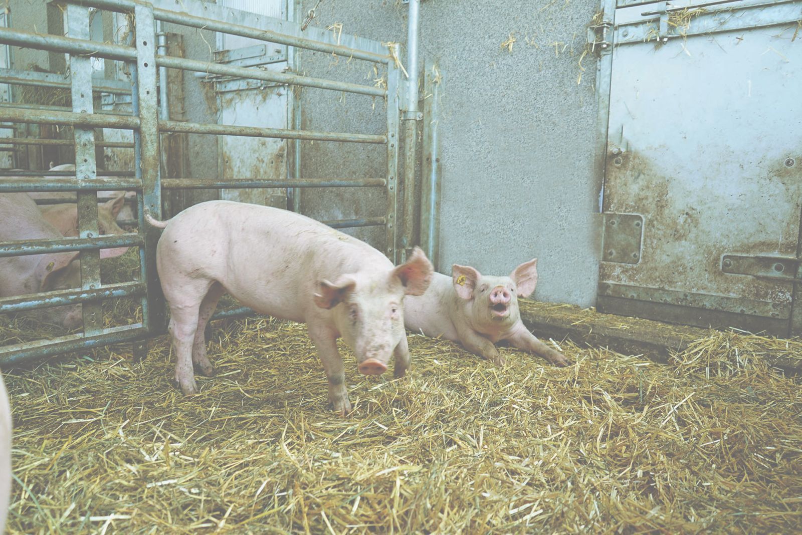 Grüner Bericht.jpg © Archiv