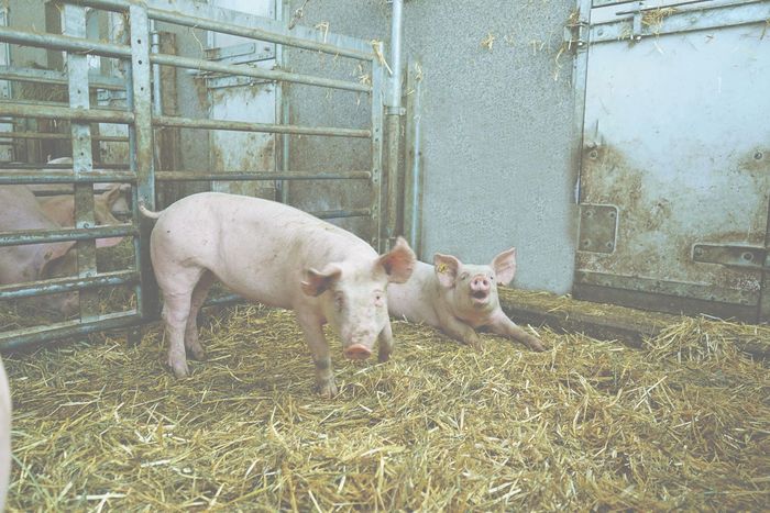 [176119975879662_1.jpg]