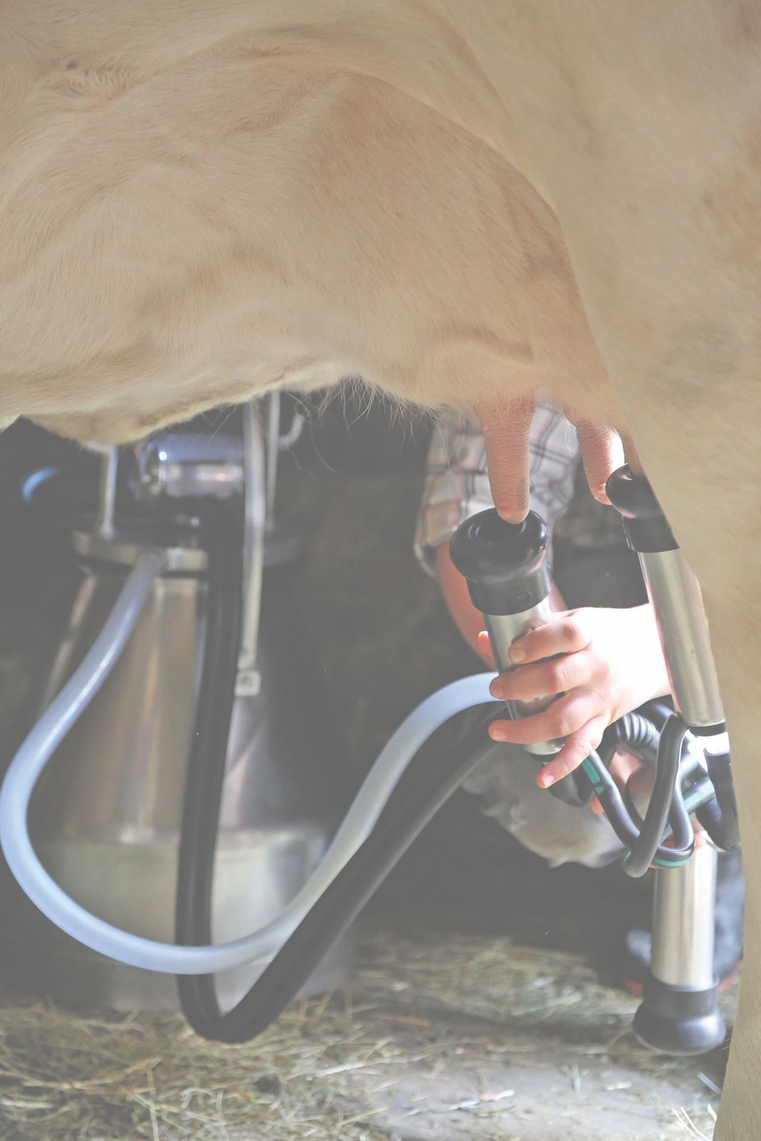 Grüner Bericht.jpg © Archiv