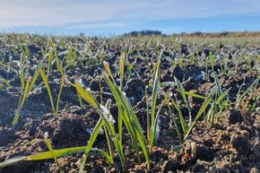 [1761294479502856_5.jpg]