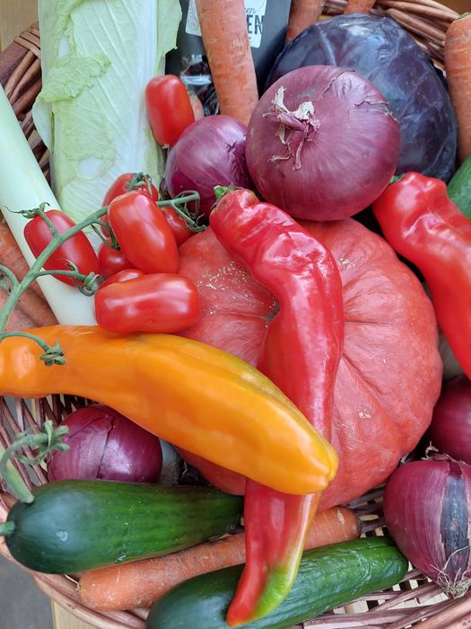 [1761304105395234_1.jpg]