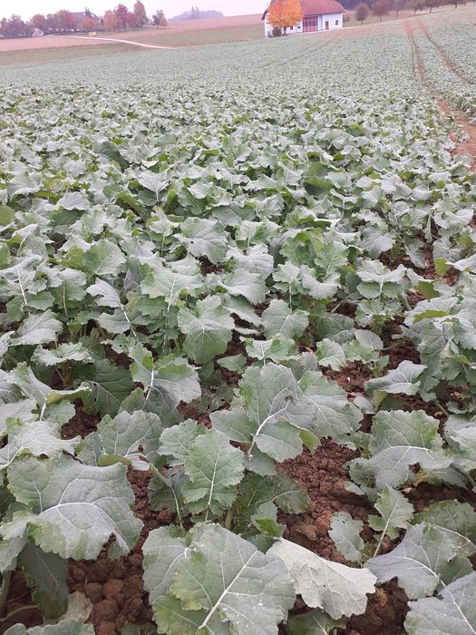 [1761573139839246_1.jpg]