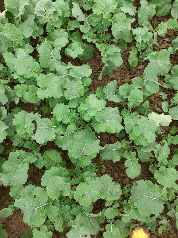 [1761573226408858_7.jpg]