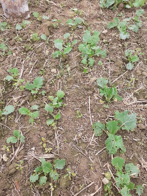 [1761573410612392_7.jpg]