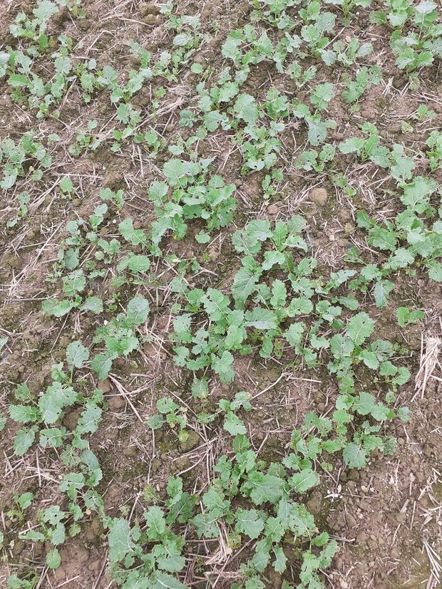 [1761573459922725_7.jpg]