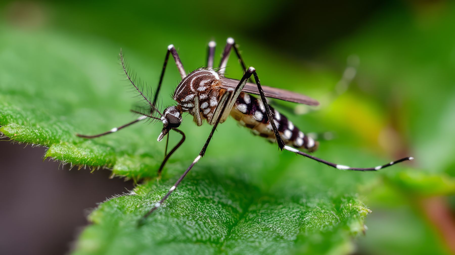 AdobeStock_1470784892.jpg © Hariyanto Bromantio/KI generiert