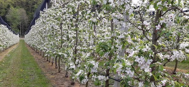 [1761635745683928_7.jpg]