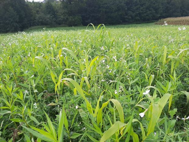 [1761636386208772_7.jpg]