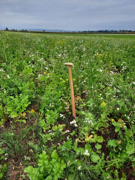 [1761636426100194_1.jpg]