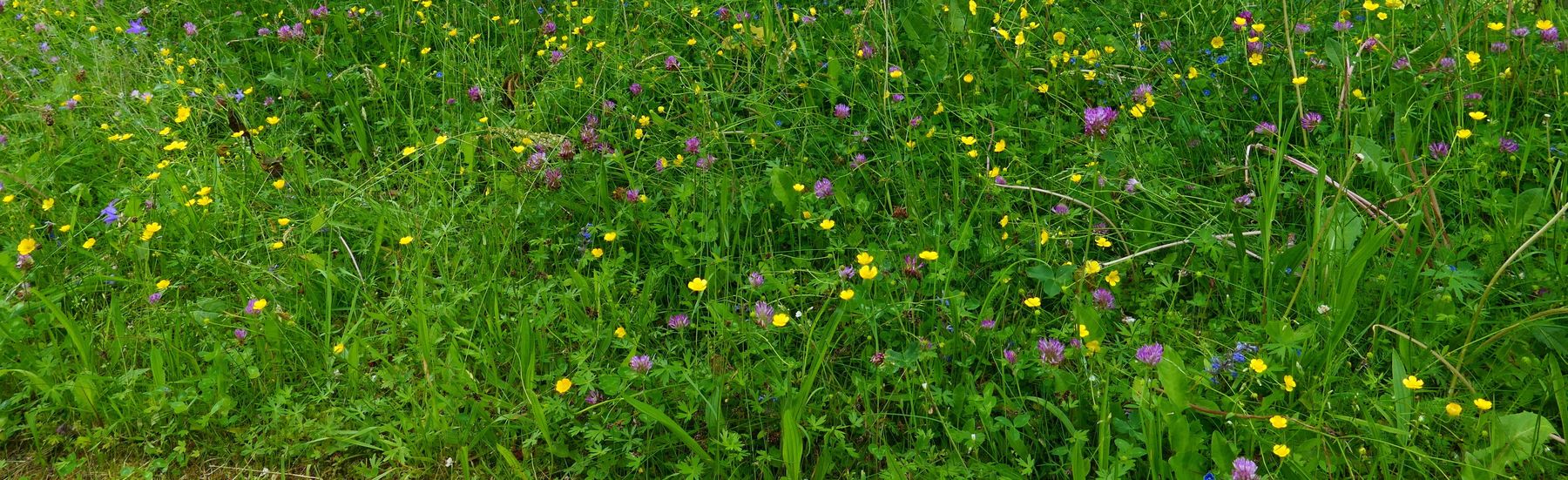 AdobeStock_1579305648.jpg © adobe.stock.com