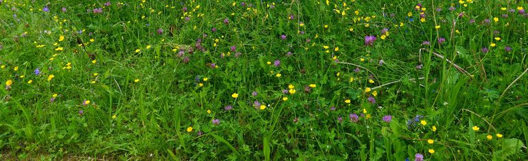 AdobeStock_1579305648.jpg © adobe.stock.com