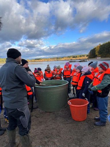 Abfischen macht Schule.jpg © Daniela Morgenbesser/LK Niederösterreich