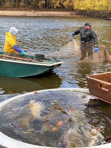 Abfischen macht Schule.jpg © Daniela Morgenbesser/LK Niederösterreich