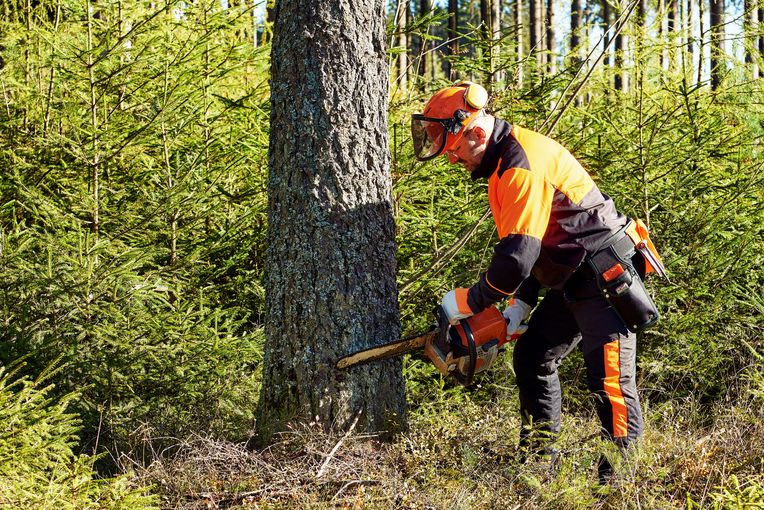 AdobeStock_462647037.jpg © stock.adobe.com