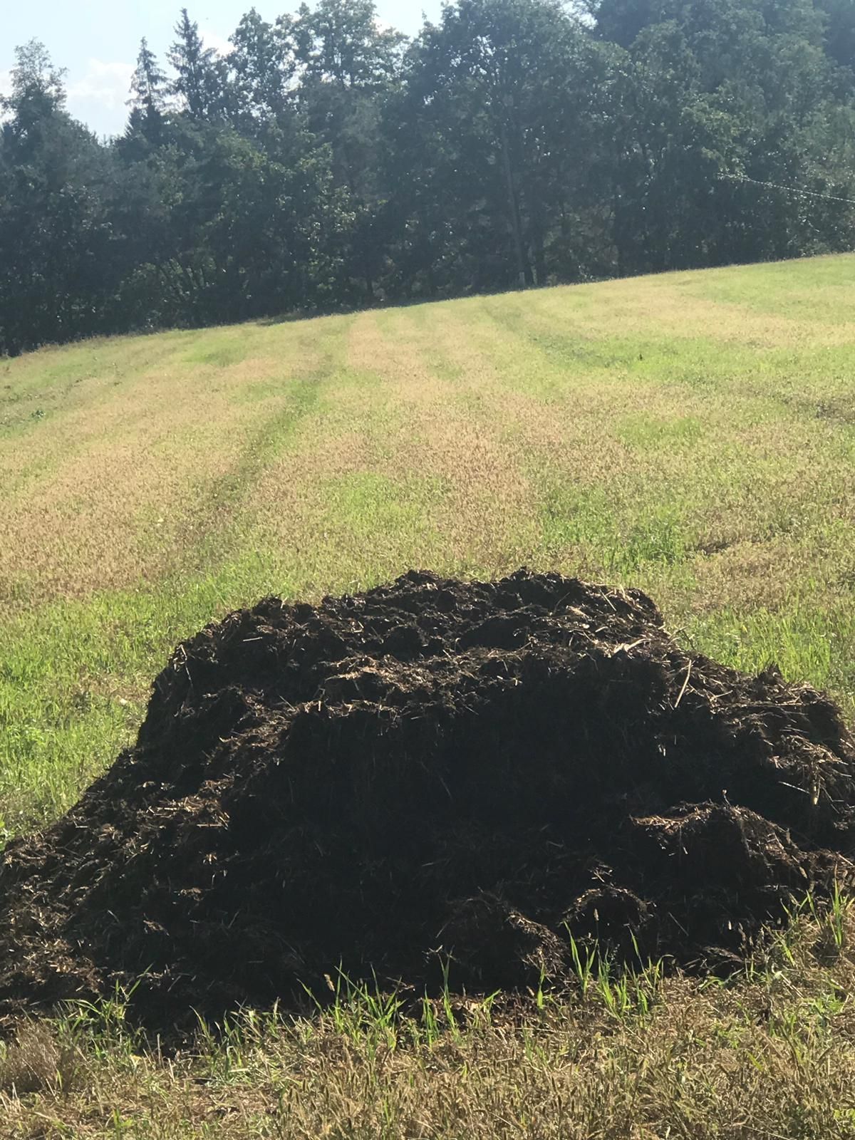 Feldmiete .jpg © Petritz