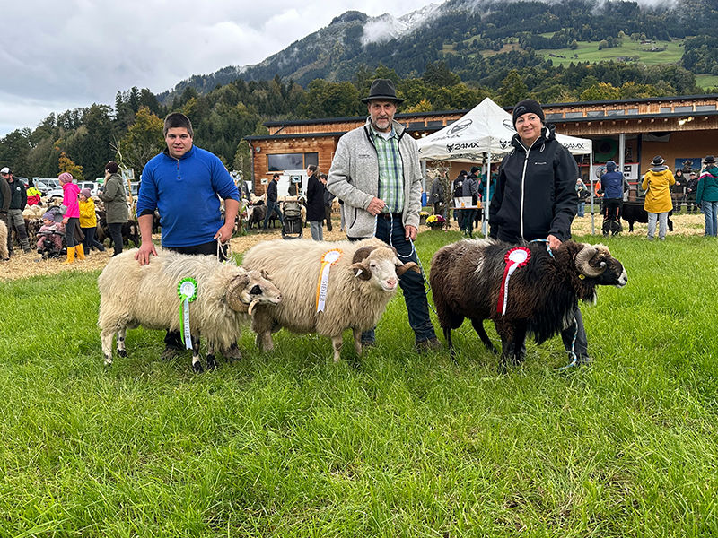 © Schafzuchtverband Vorarlberg © Schafzuchtverband Vorarlberg