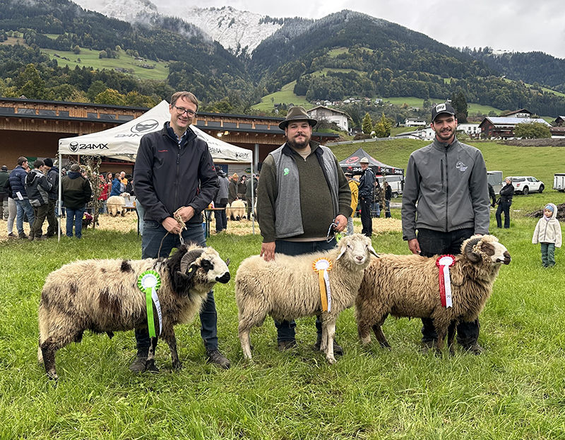 © Schafzuchtverband Vorarlberg