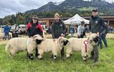 © Schafzuchtverband Vorarlberg © Schafzuchtverband Vorarlberg