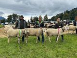 © Schafzuchtverband Vorarlberg