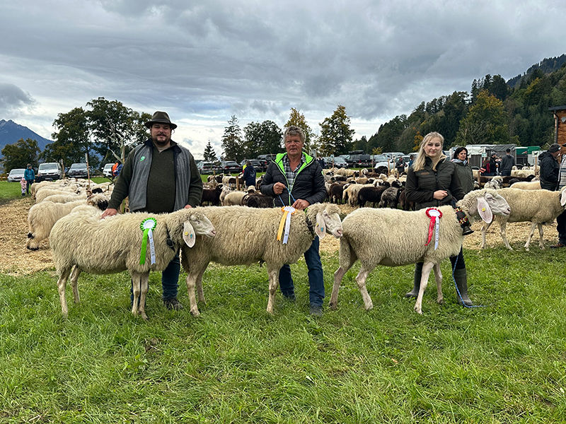 © Schafzuchtverband Vorarlberg © Schafzuchtverband Vorarlberg