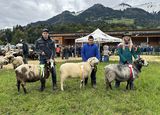 © Schafzuchtverband Vorarlberg © Schafzuchtverband Vorarlberg