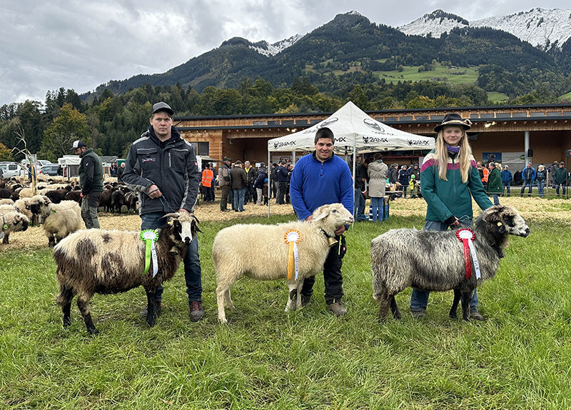 © Schafzuchtverband Vorarlberg © Schafzuchtverband Vorarlberg