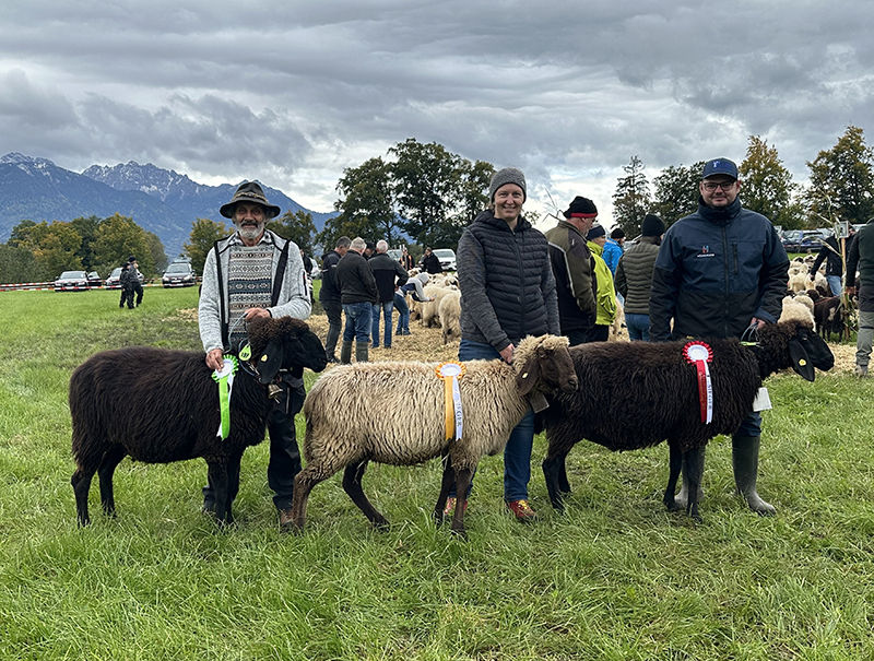 © Schafzuchtverband Vorarlberg © Schafzuchtverband Vorarlberg