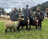 © Schafzuchtverband Vorarlberg