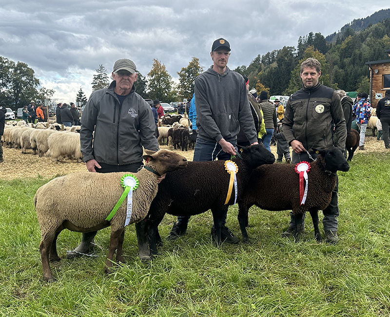 © Schafzuchtverband Vorarlberg © Schafzuchtverband Vorarlberg