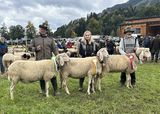 © Schafzuchtverband Vorarlberg © Schafzuchtverband Vorarlberg