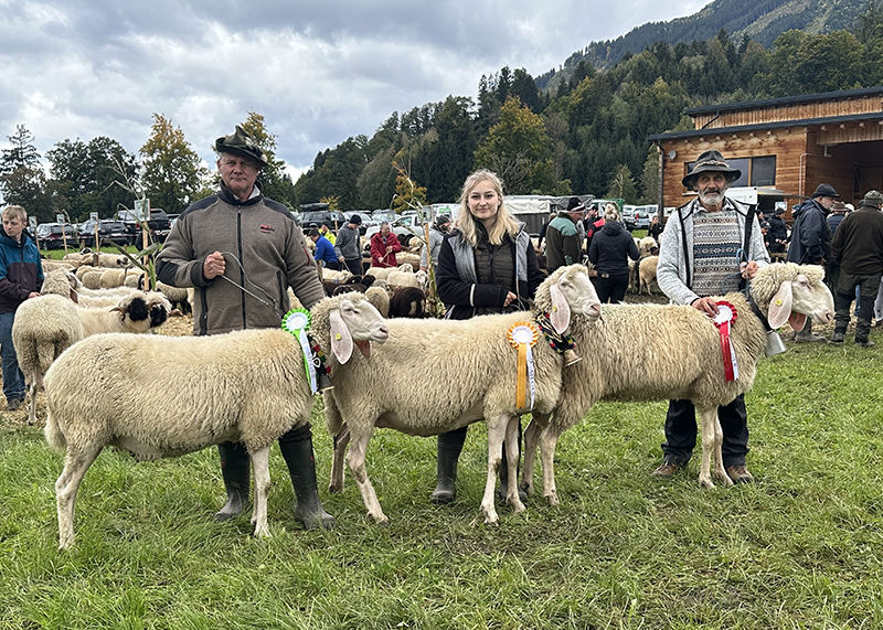 © Schafzuchtverband Vorarlberg © Schafzuchtverband Vorarlberg