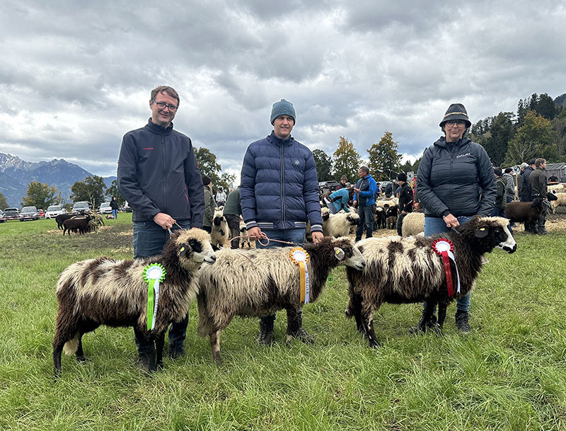 © Schafzuchtverband Vorarlberg © Schafzuchtverband Vorarlberg