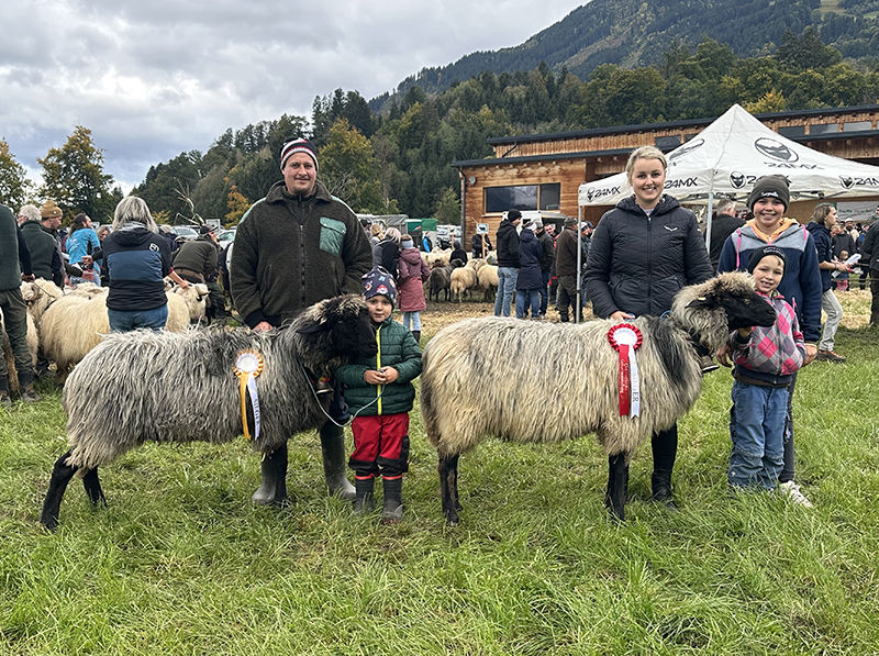 © Schafzuchtverband Vorarlberg © Schafzuchtverband Vorarlberg
