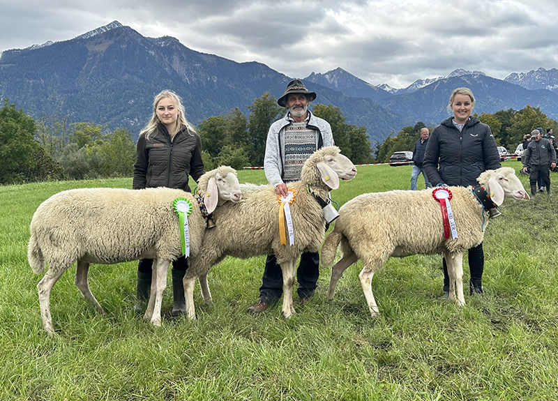 © Schafzuchtverband Vorarlberg © Schafzuchtverband Vorarlberg