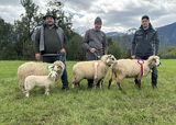 © Schafzuchtverband Vorarlberg