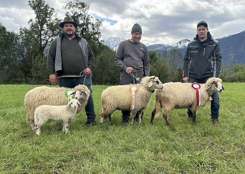 © Schafzuchtverband Vorarlberg © Schafzuchtverband Vorarlberg