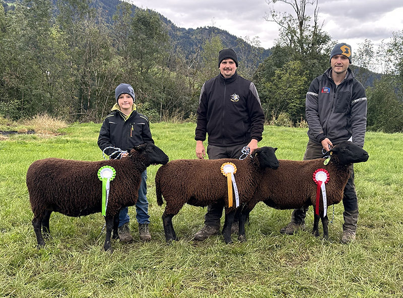 © Schafzuchtverband Vorarlberg