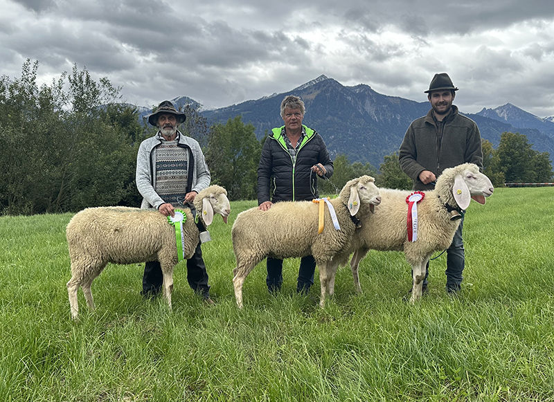 © Schafzuchtverband Vorarlberg © Schafzuchtverband Vorarlberg