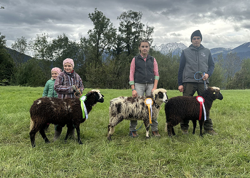 © Schafzuchtverband Vorarlberg © Schafzuchtverband Vorarlberg